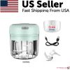 Electric 300ML Garlic Press Chopper Chili Onion Fruits Meat Mincer Blender Mixer