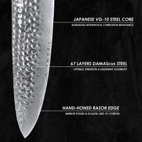 Kegani Chef Knife, 8 Inch Damascus Chefs Knife-Japanese VG10 Super Steel Hammered - G10 Handle Kitchen Knife - Classic Series (Option: Santoku Knife)